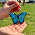 SunStainedGlassUA Mini Peleides Blue Morpho Handmade Stained Glass Suncatcher