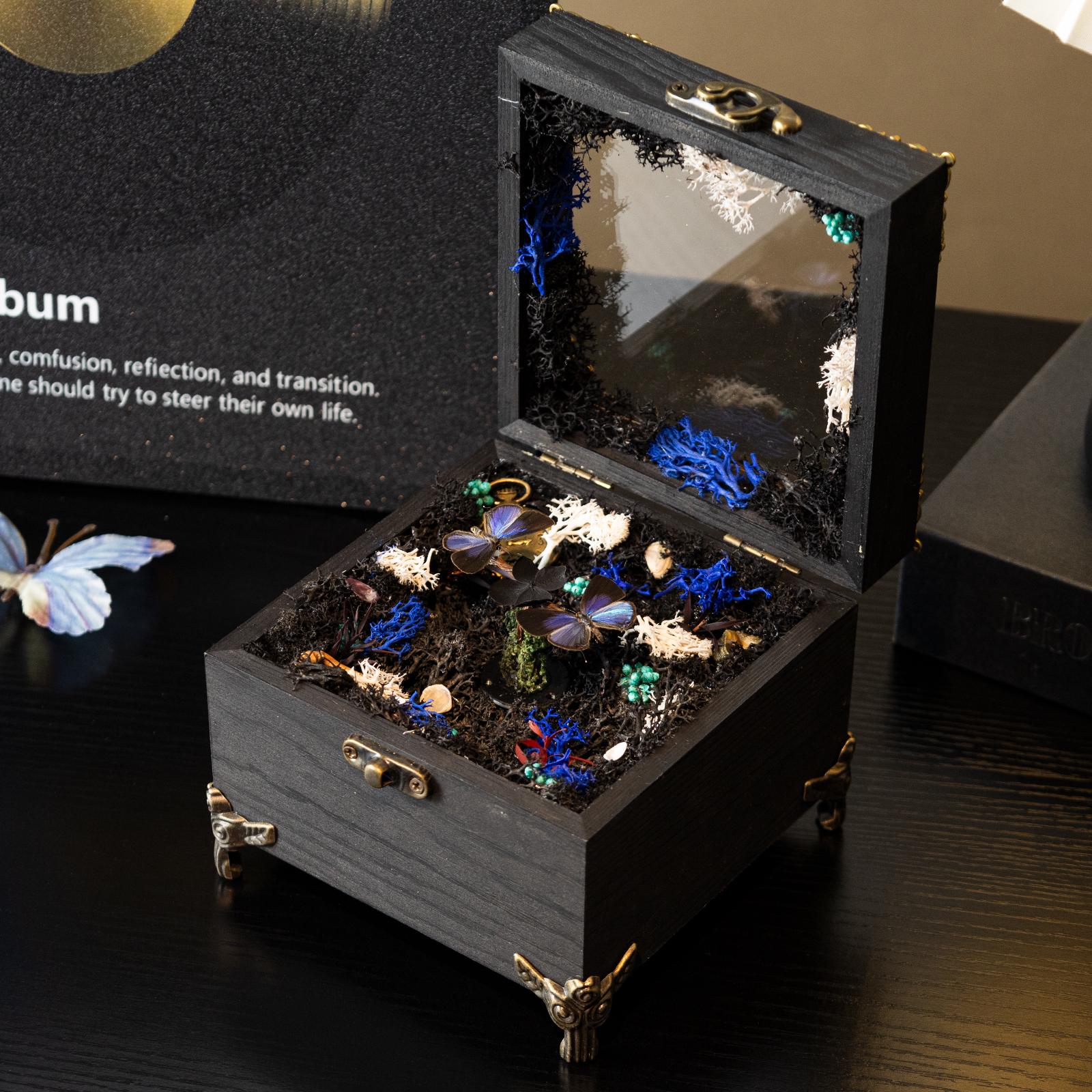 Oryeia Handmade Rotating Butterfly Music Box Internal Display