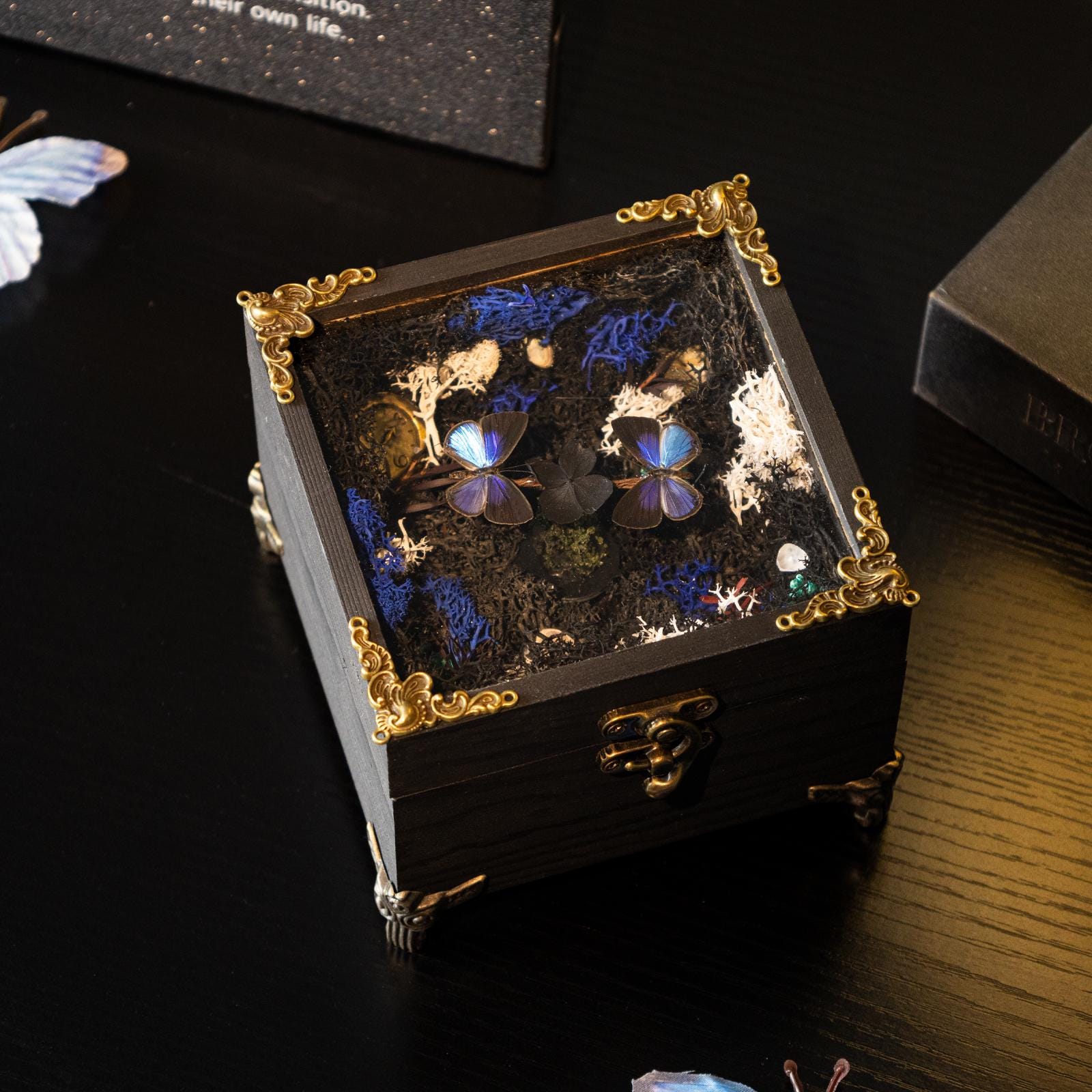 Oryeia Handmade Rotating Butterfly Music Box Internal Display