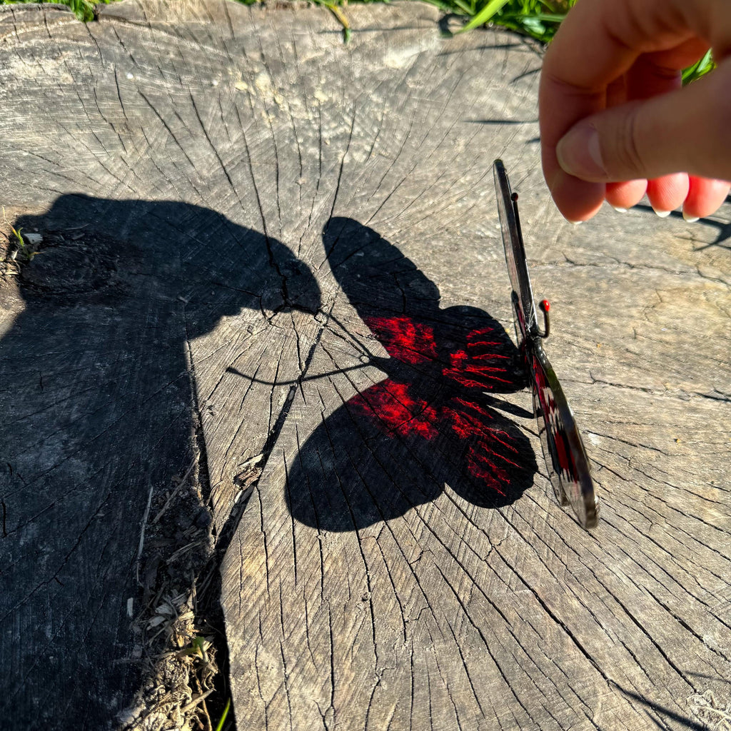 SunStainedGlassUA Burney's Longwing Butterfly Stained Glass Suncatcher 6in Red
