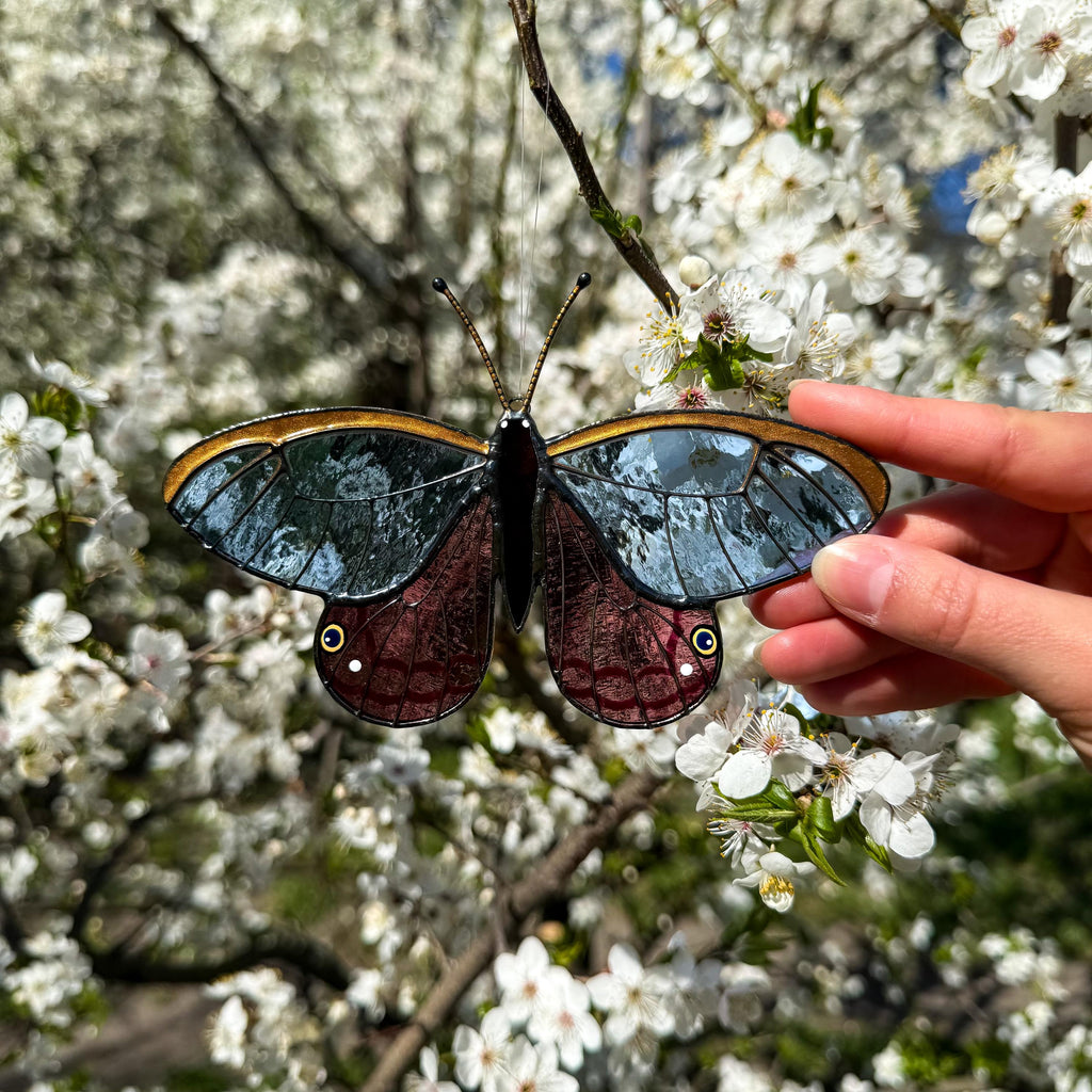 SunStainedGlassUA Blushing Phantom Butterfly Stained Glass Suncatcher Handmade