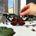 SunStainedGlassUA Burney's Longwing Butterfly Stained Glass Suncatcher 6in Red