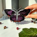 SunStainedGlassUA Colorado Hairstreak Stained Glass Butterfly Suncatcher