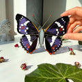SunStainedGlassUA Purple Emperor Butterfly Stained Glass Suncatcher 5.5in