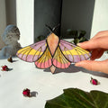 SunStainedGlassUA Rosy Maple Moth Stained Glass Suncatcher 5.6in