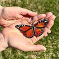 SunStainedGlassUA Mini Monarch Butterfly Handmade Stained Glass Suncatcher