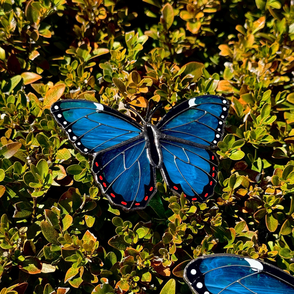 SunStainedGlassUA Mini Peleides Blue Morpho Handmade Stained Glass Suncatcher