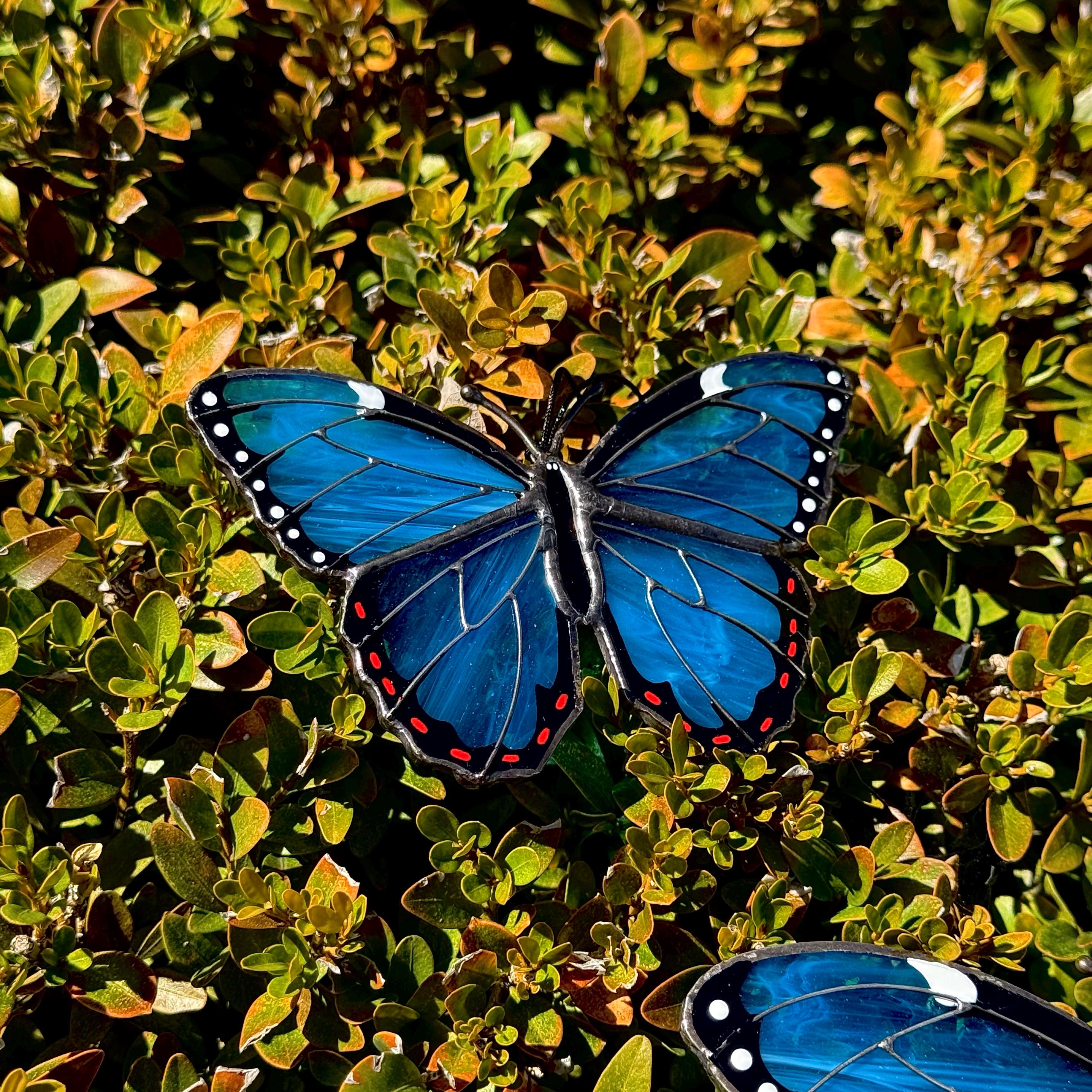 SunStainedGlassUA Mini Peleides Blue Morpho Handmade Stained Glass Suncatcher