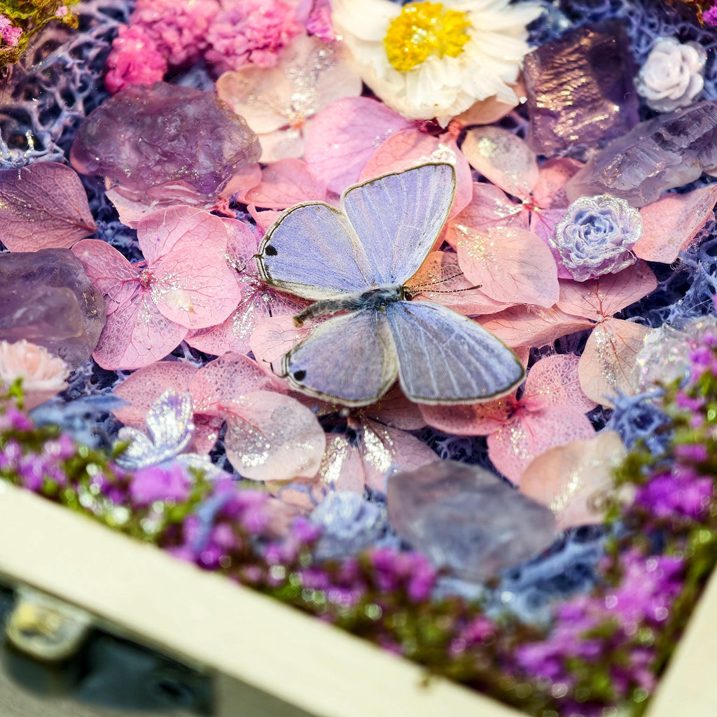 Oryeia Real Butterfly Dried Flower Music Box With Amethyst Crystal, La La Land Melody