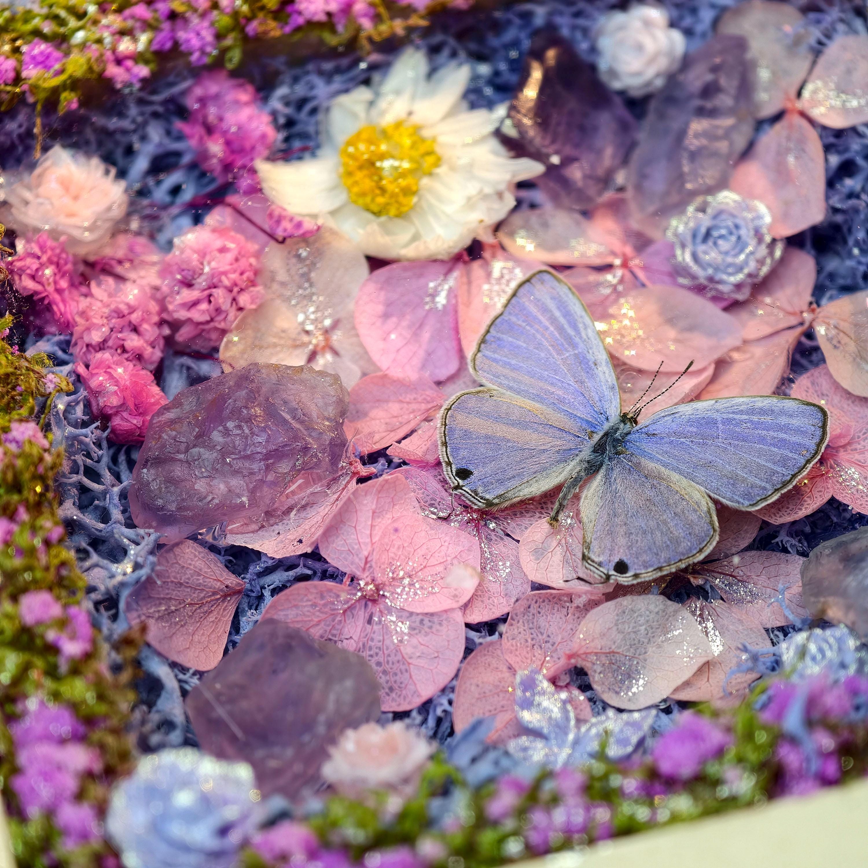 Oryeia Real Butterfly Dried Flower Music Box With Amethyst Crystal, La La Land Melody