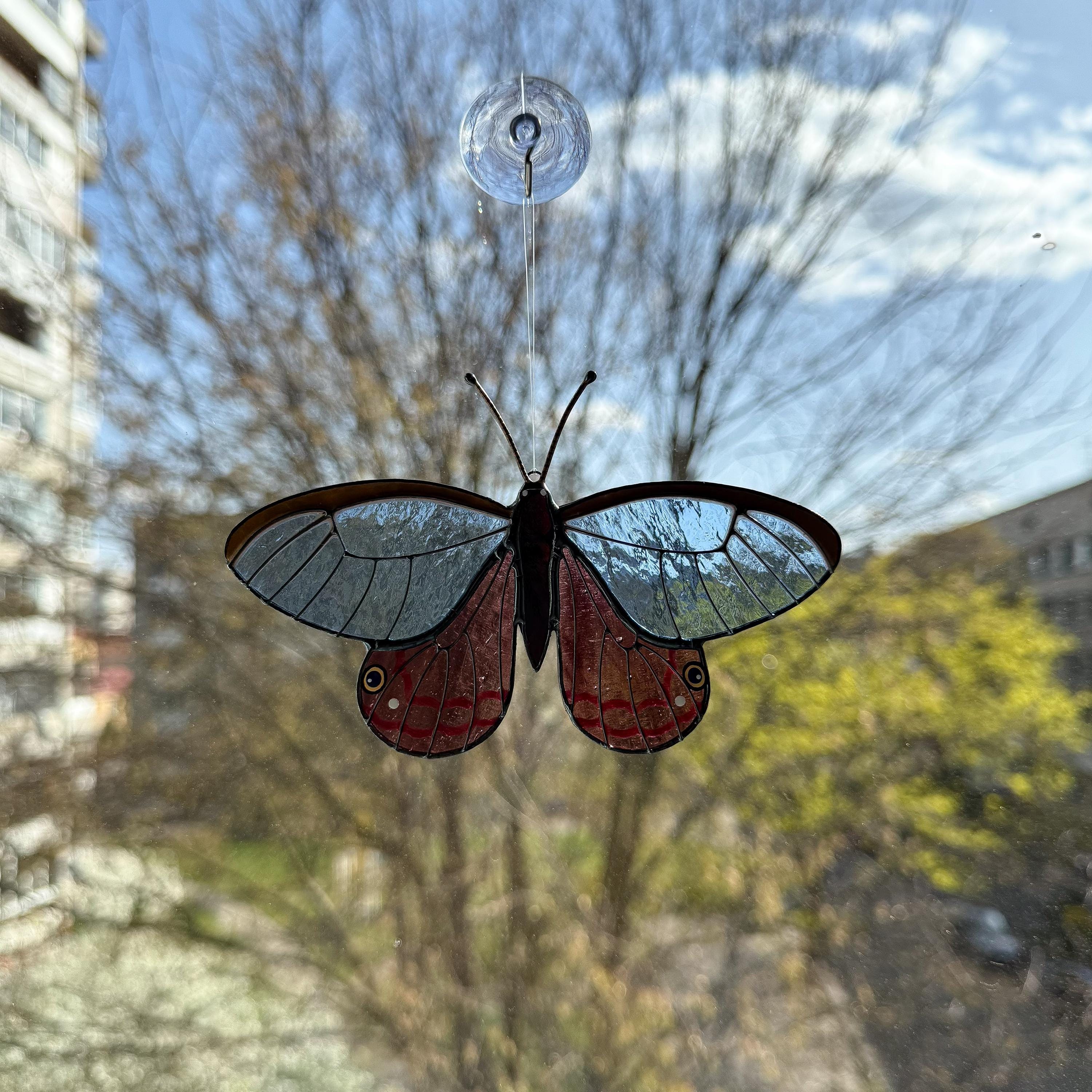 SunStainedGlassUA Blushing Phantom Butterfly Stained Glass Suncatcher Handmade
