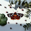 SunStainedGlassUA Garden Tiger Moth Stained Glass Suncatcher 5.6in