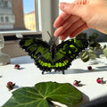 Malachite Butterfly Stained Glass Suncatcher Hand-Painted Green Home Decor