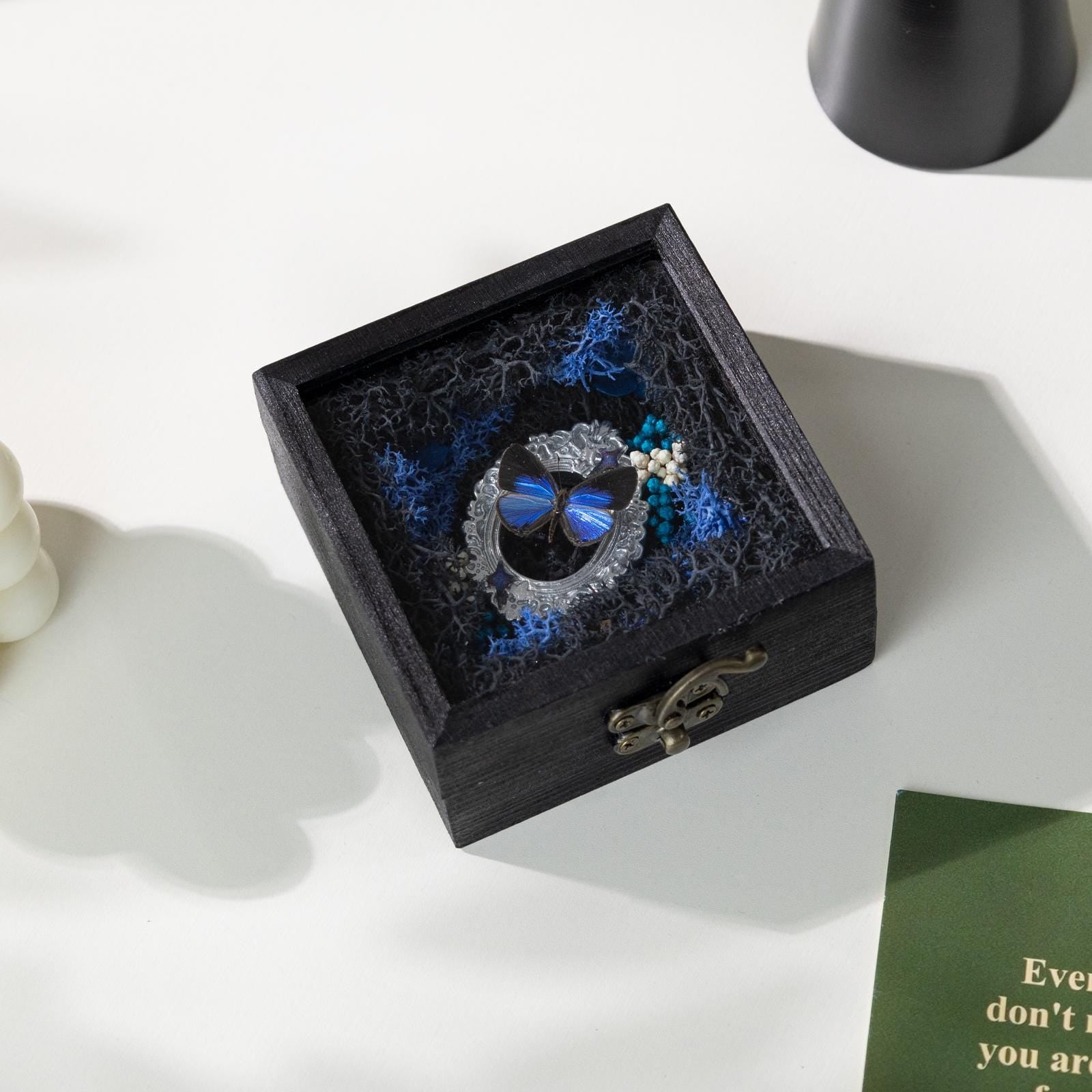 Oryeia Blue Butterfly Specimen Diorama Box With Preserved Moss