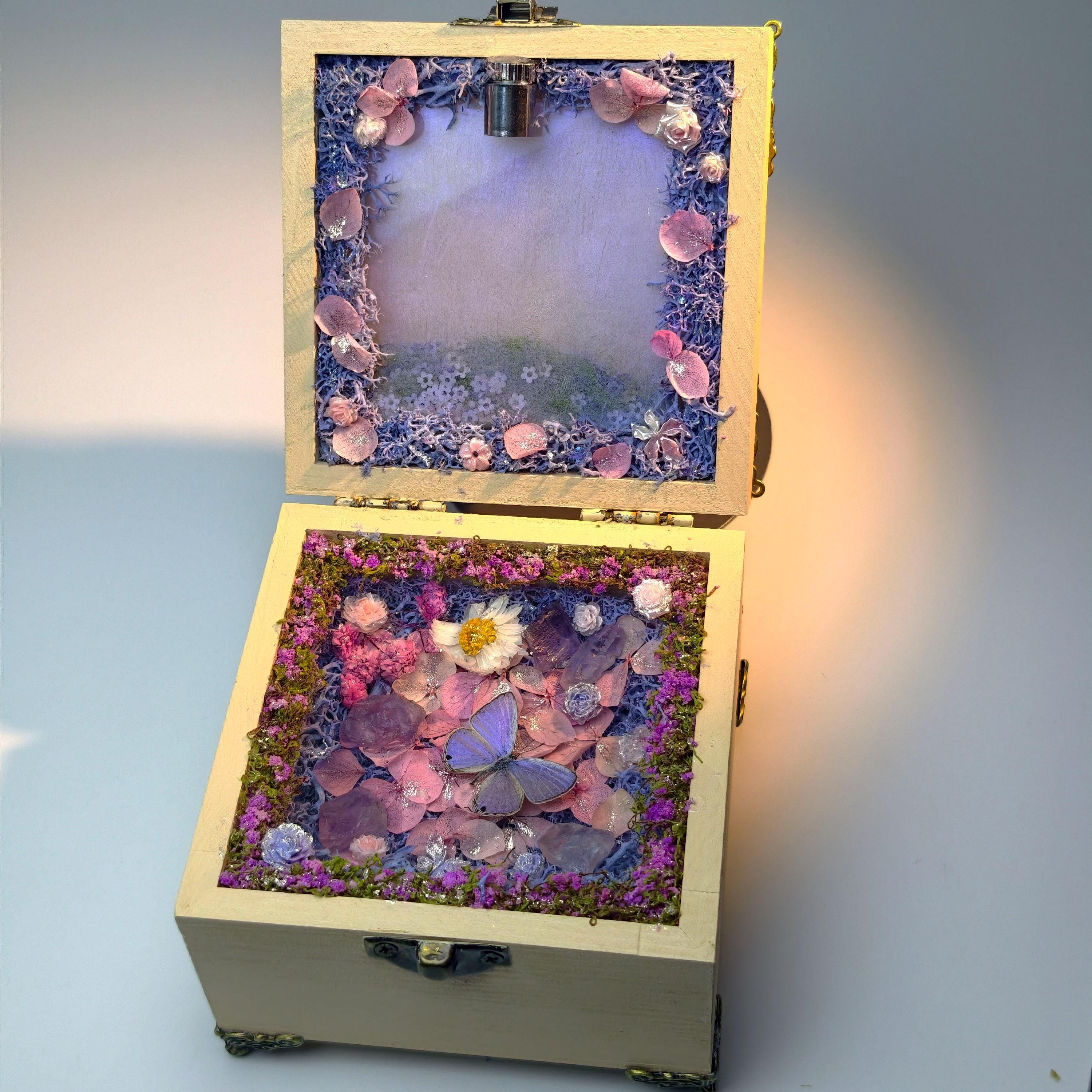 Oryeia Real Butterfly Dried Flower Music Box With Amethyst Crystal, La La Land Melody