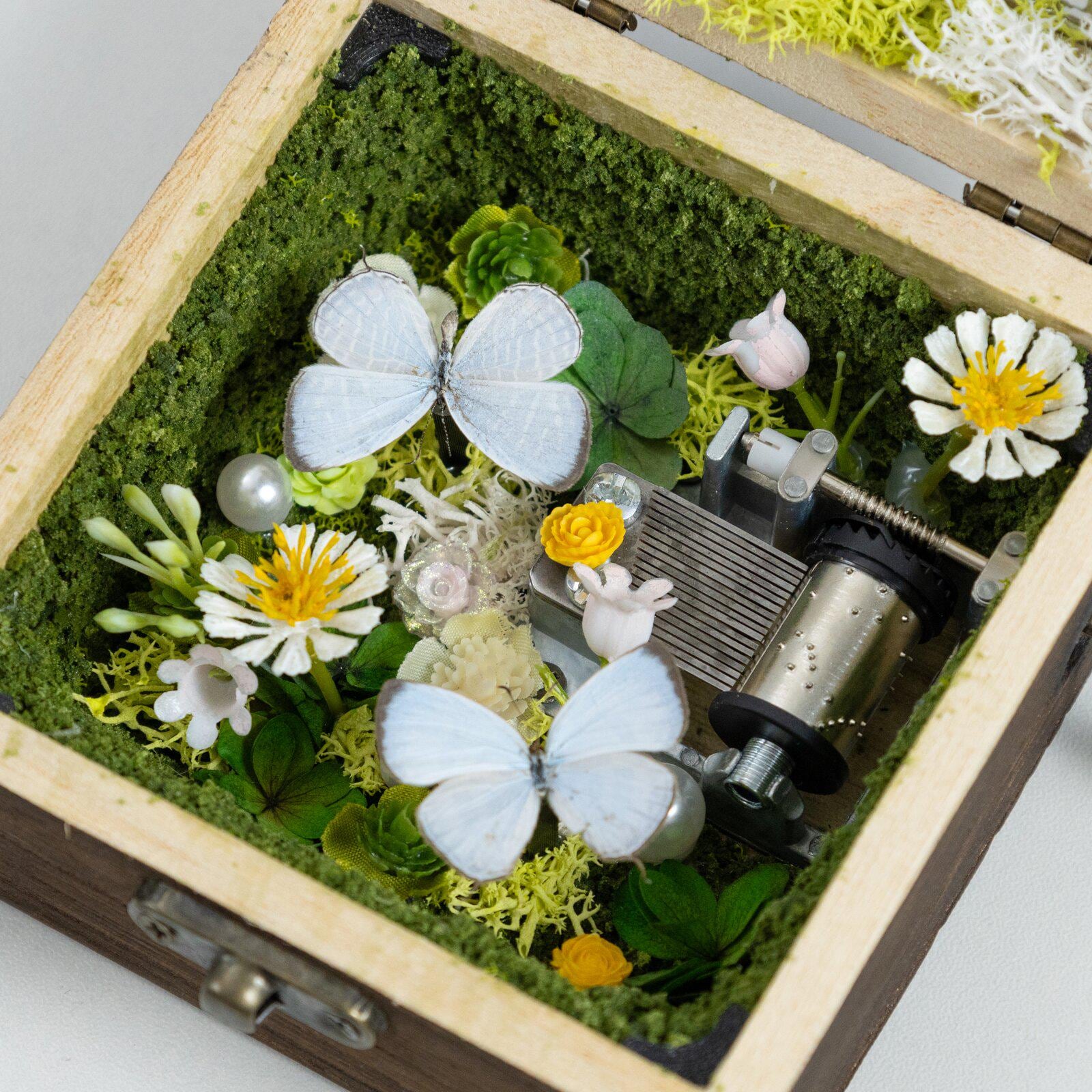 Oryeia Vintage Wooden Butterfly Crank Music Box Customizable Song