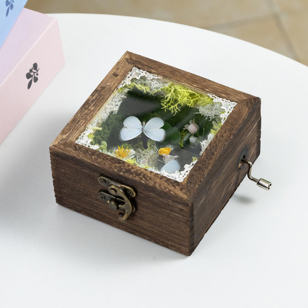 Oryeia Vintage Wooden Butterfly Crank Music Box Customizable Song