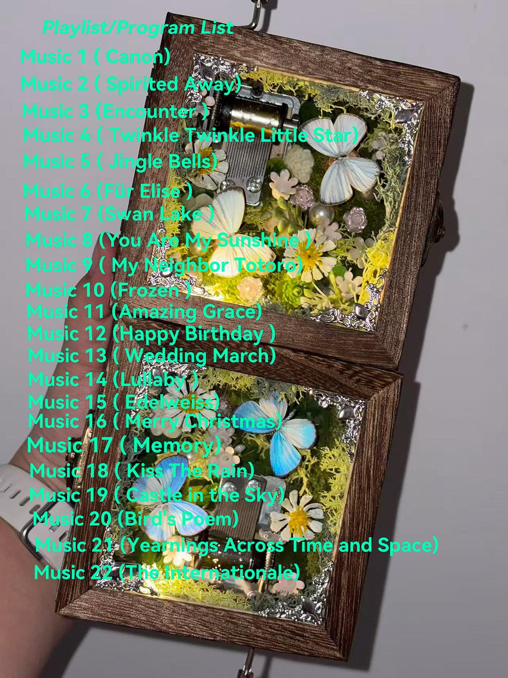 Oryeia Vintage Wooden Butterfly Crank Music Box Customizable Song