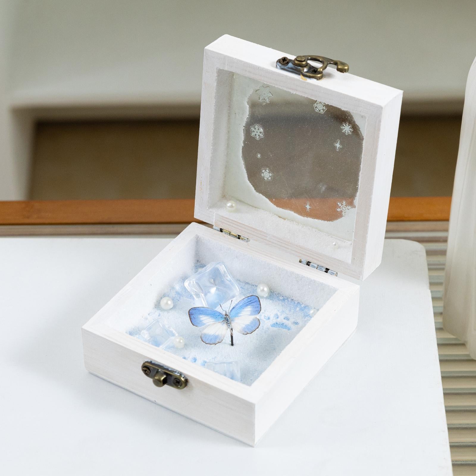 Oryeia Handmade Winter Ice-Blue Butterfly Specimen Shadow Box Keepsake
