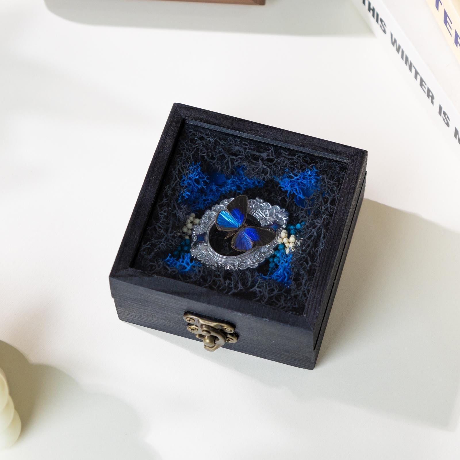 Oryeia Blue Butterfly Specimen Diorama Box With Preserved Moss
