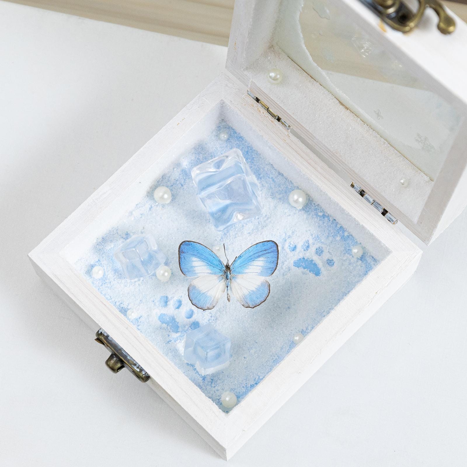 Oryeia Handmade Winter Ice-Blue Butterfly Specimen Shadow Box Keepsake