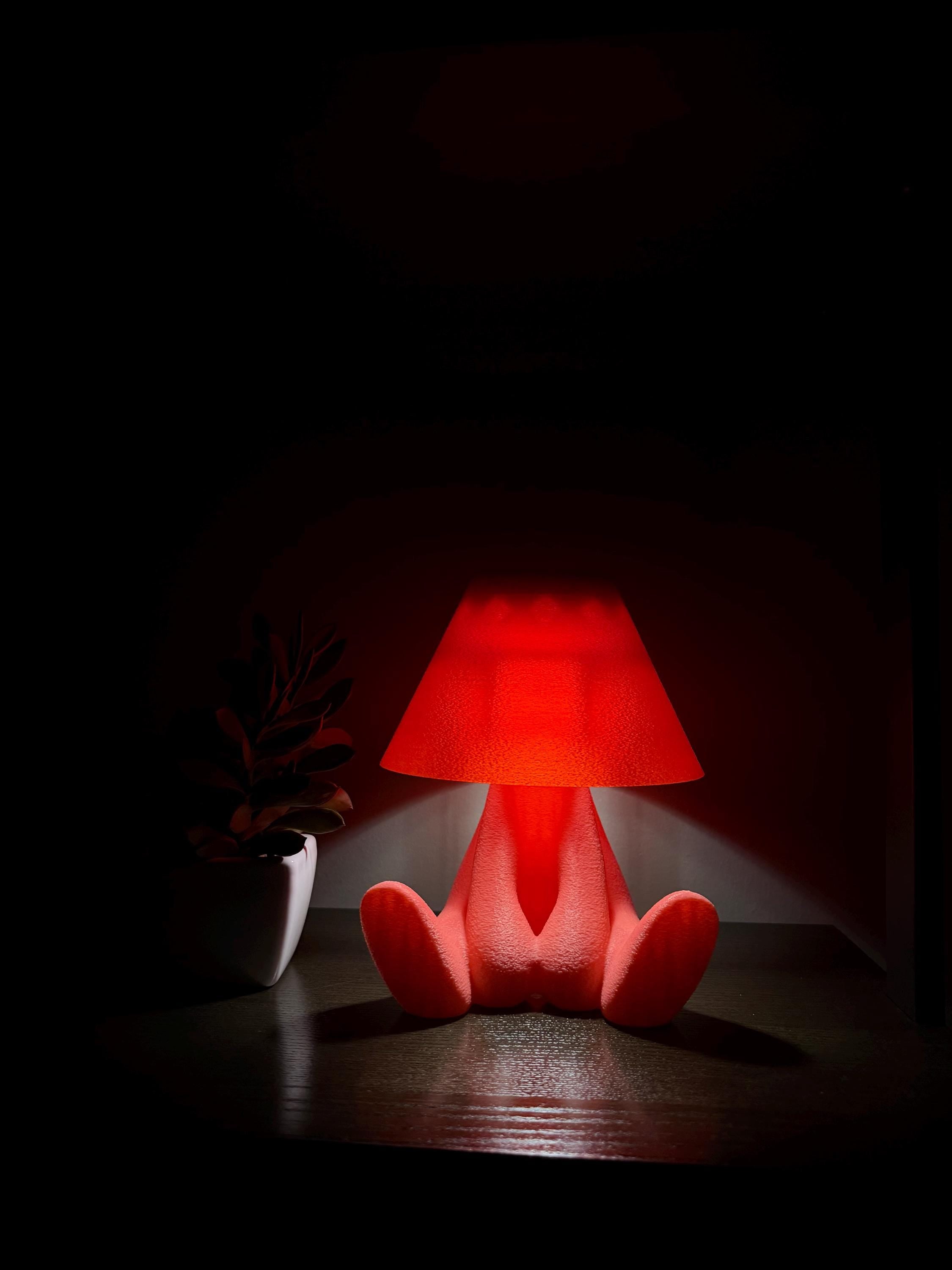 bostonhomestudio Shy Buddy Lamp Cordless Tap LED Night Light 9in