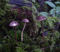 GazRye Handcrafted Copper Mushroom Garden Decoration Textured