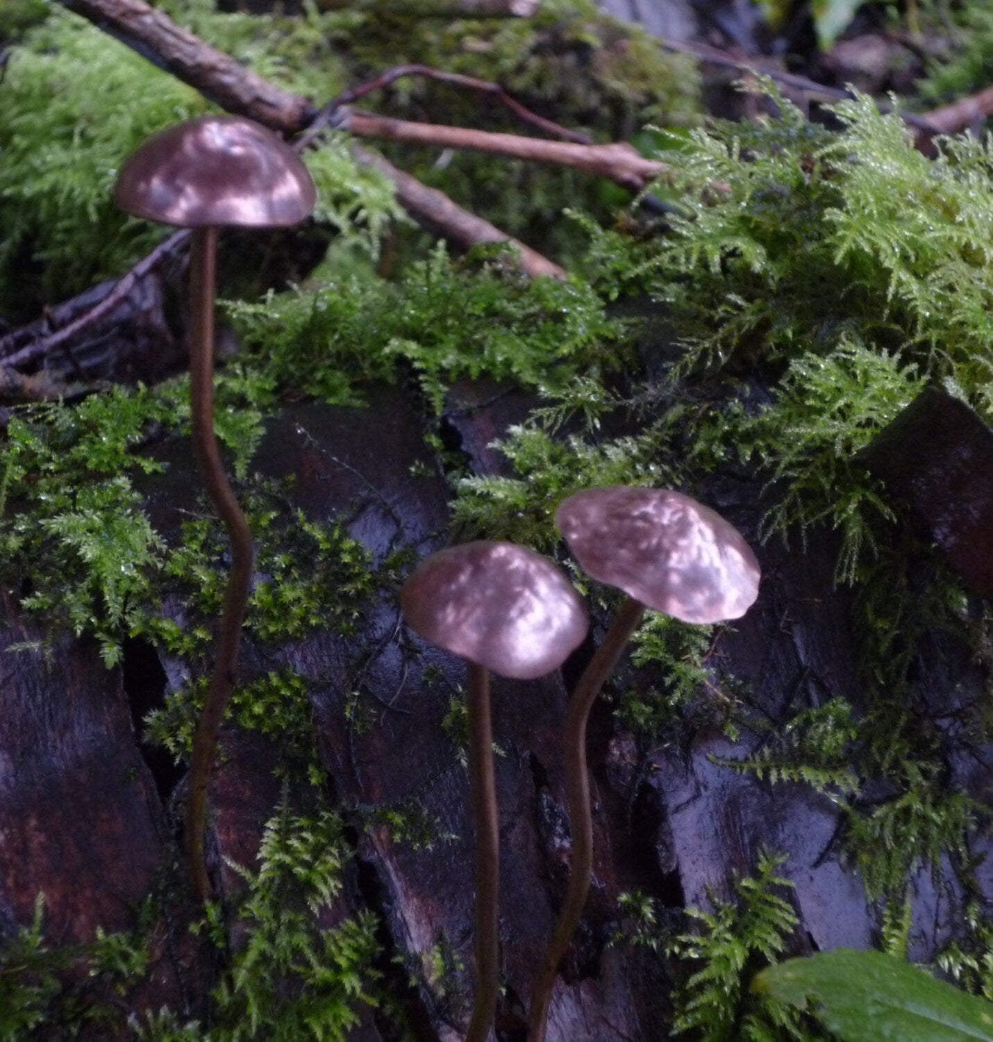 GazRye Handcrafted Copper Mushroom Garden Decoration Textured