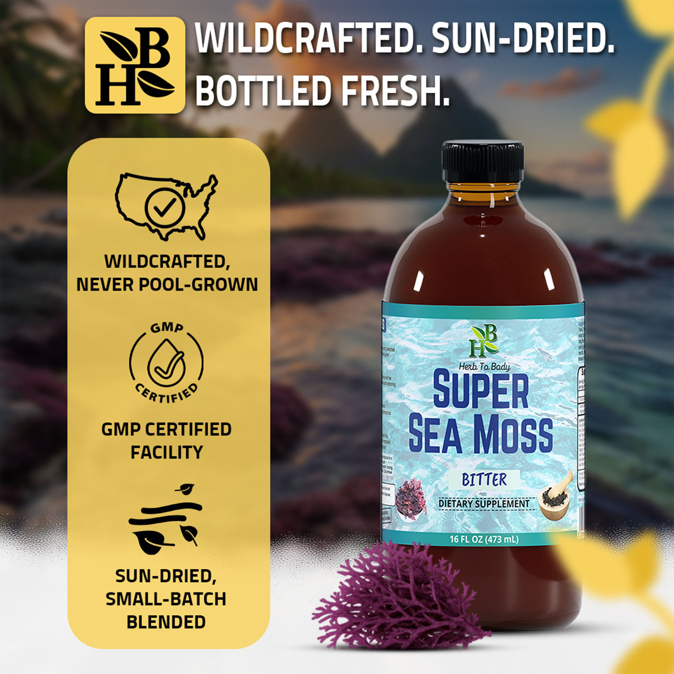 Herb to Body Super Sea Moss Bitter Herbal Tonic 16oz