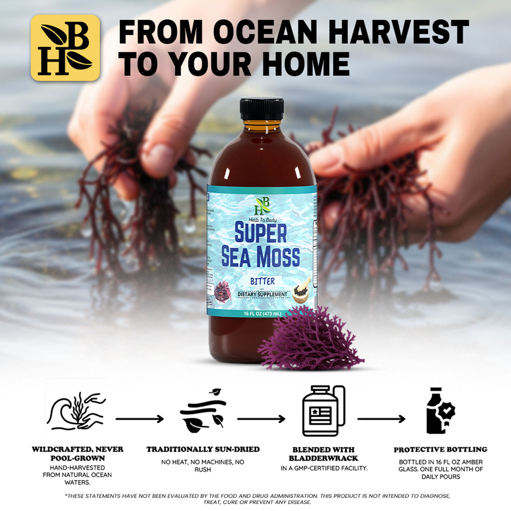 Herb to Body Super Sea Moss Bitter Herbal Tonic 16oz